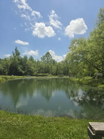 5425 S Key 233 Gray KY 40734