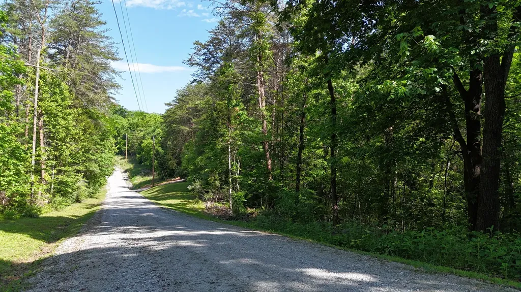 Tract 15 Buck Tail Drive Burnside KY 42519