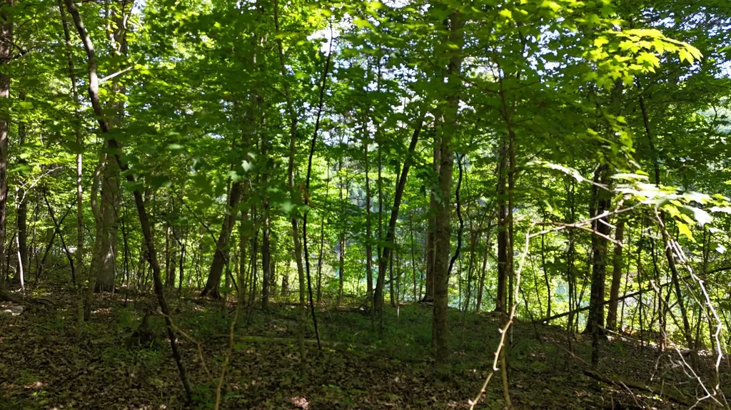 Tract 15 Buck Tail Drive Burnside KY 42519