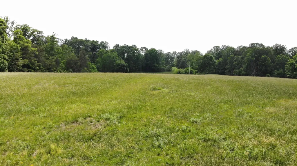 231 Polston Cemetery Road Nancy KY 42544