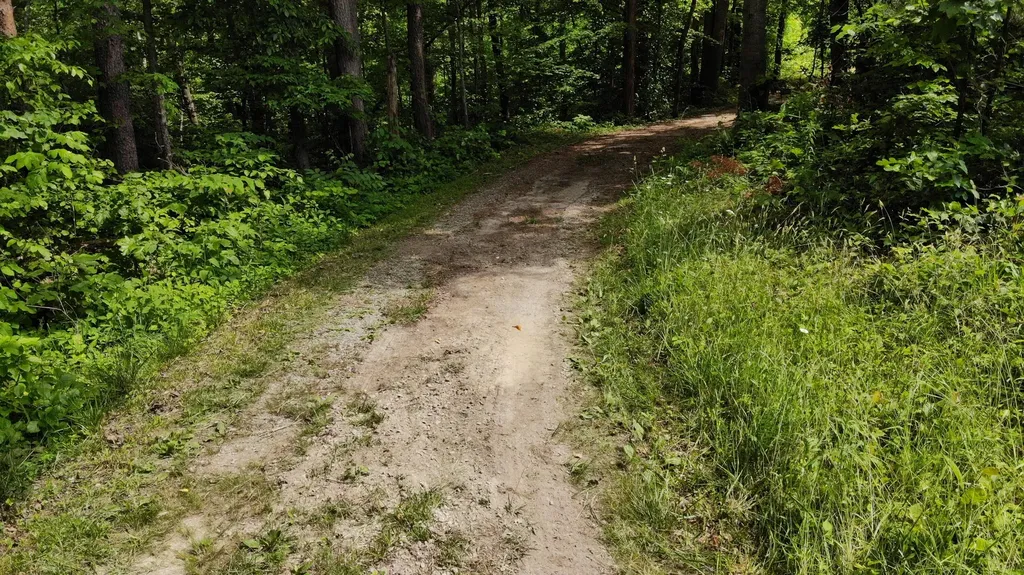 231 Polston Cemetery Road Nancy KY 42544