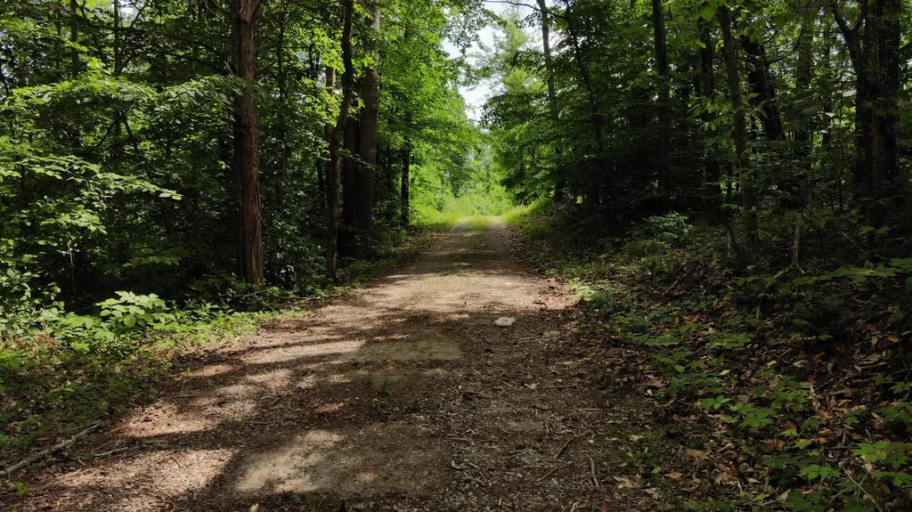 231 Polston Cemetery Road Nancy KY 42544