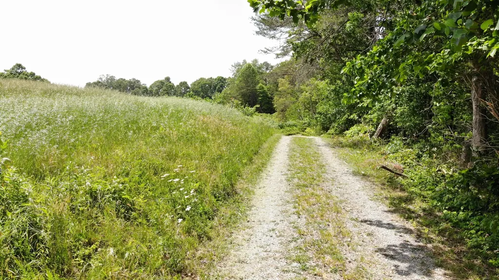 231 Polston Cemetery Road Nancy KY 42544