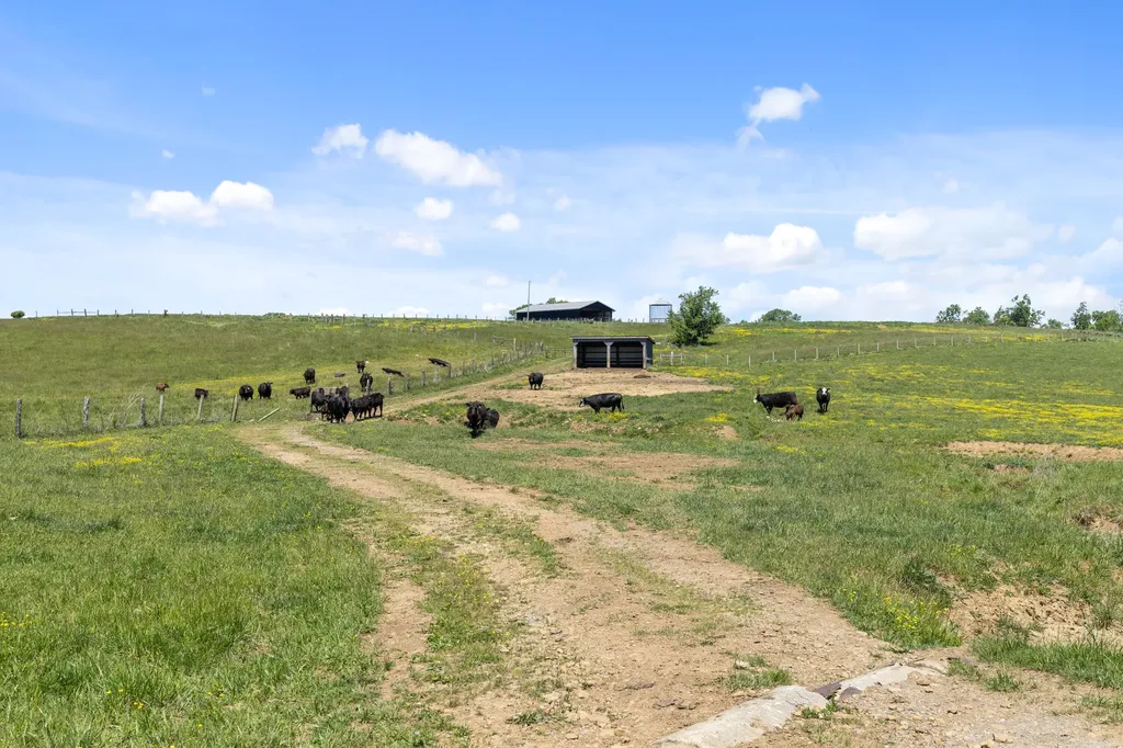 0 Mount Carmel Road Flemingsburg KY 41041