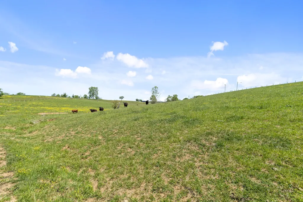0 Mount Carmel Road Flemingsburg KY 41041