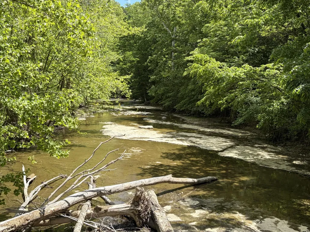 4570 Pointer Creek Road Nancy KY 42544