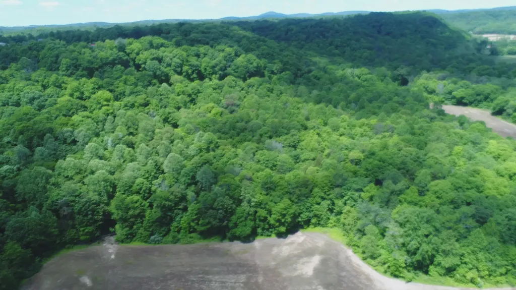 4570 Pointer Creek Road Nancy KY 42544