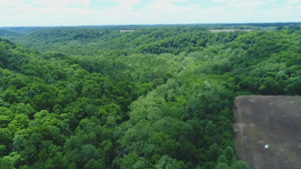 4570 Pointer Creek Road Nancy KY 42544
