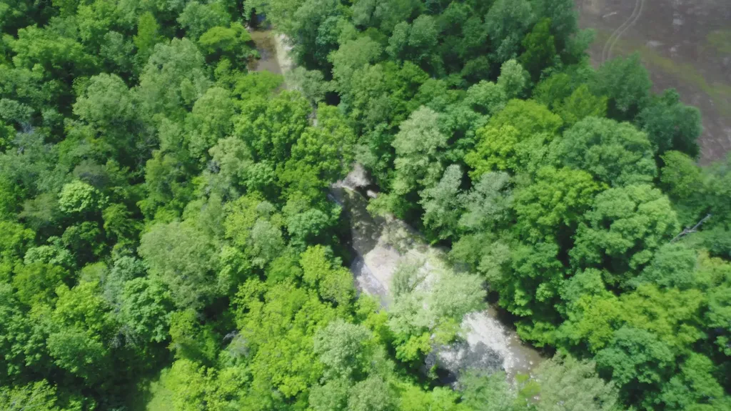 4570 Pointer Creek Road Nancy KY 42544