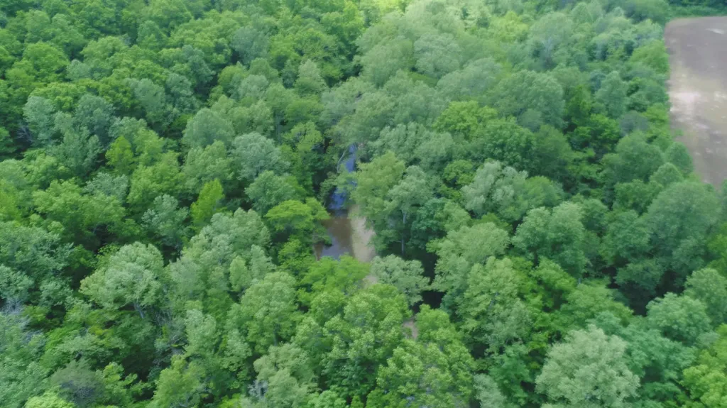 4570 Pointer Creek Road Nancy KY 42544