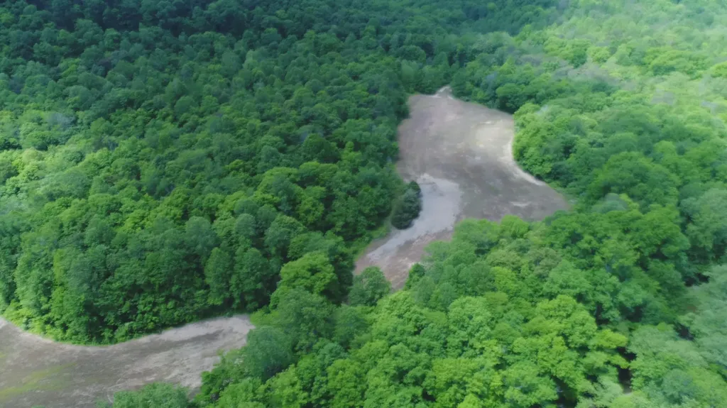 4570 Pointer Creek Road Nancy KY 42544