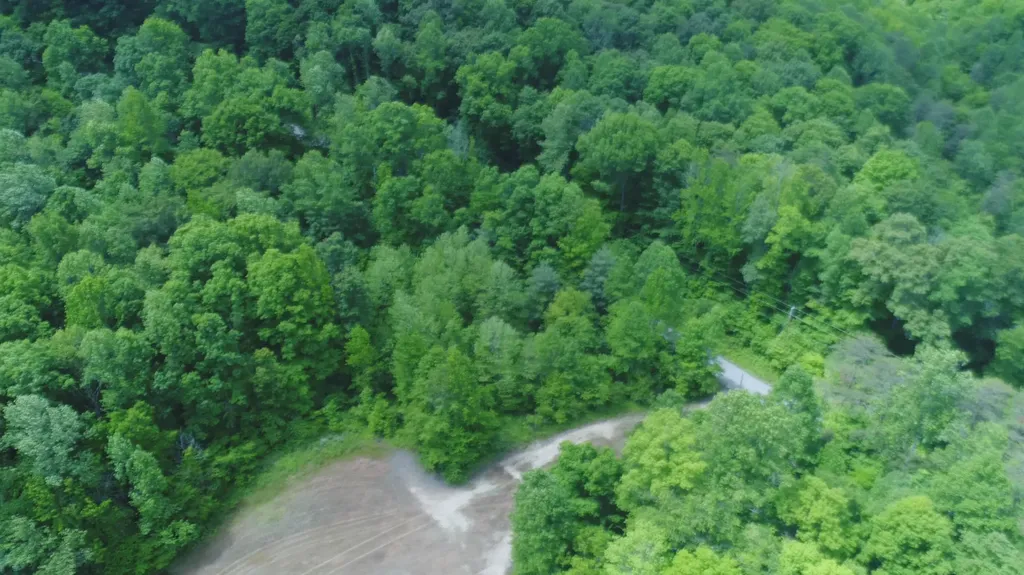 4570 Pointer Creek Road Nancy KY 42544