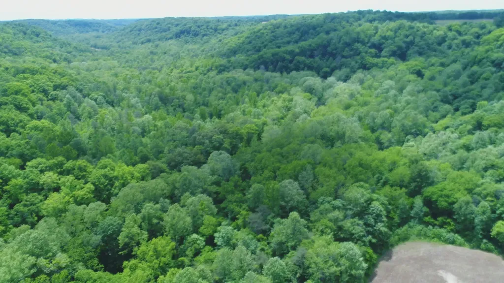 4570 Pointer Creek Road Nancy KY 42544