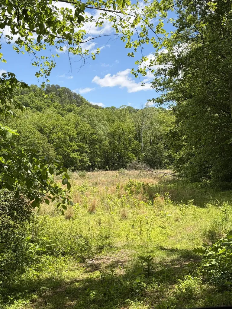 4570 Pointer Creek Road Nancy KY 42544