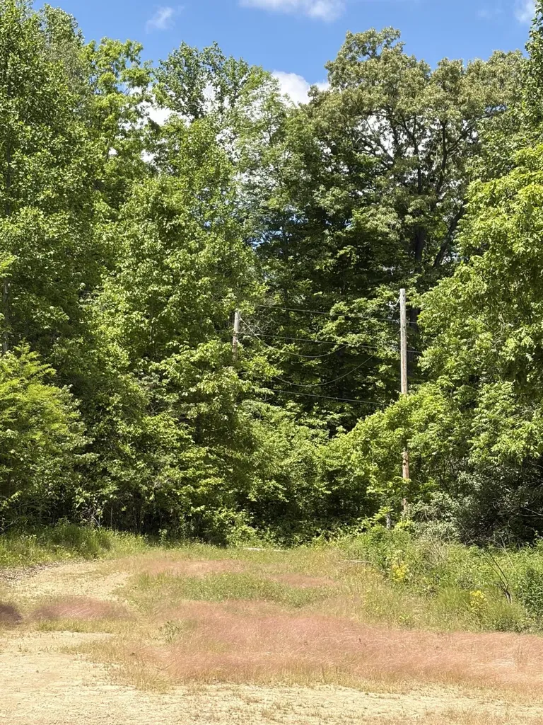 4570 Pointer Creek Road Nancy KY 42544