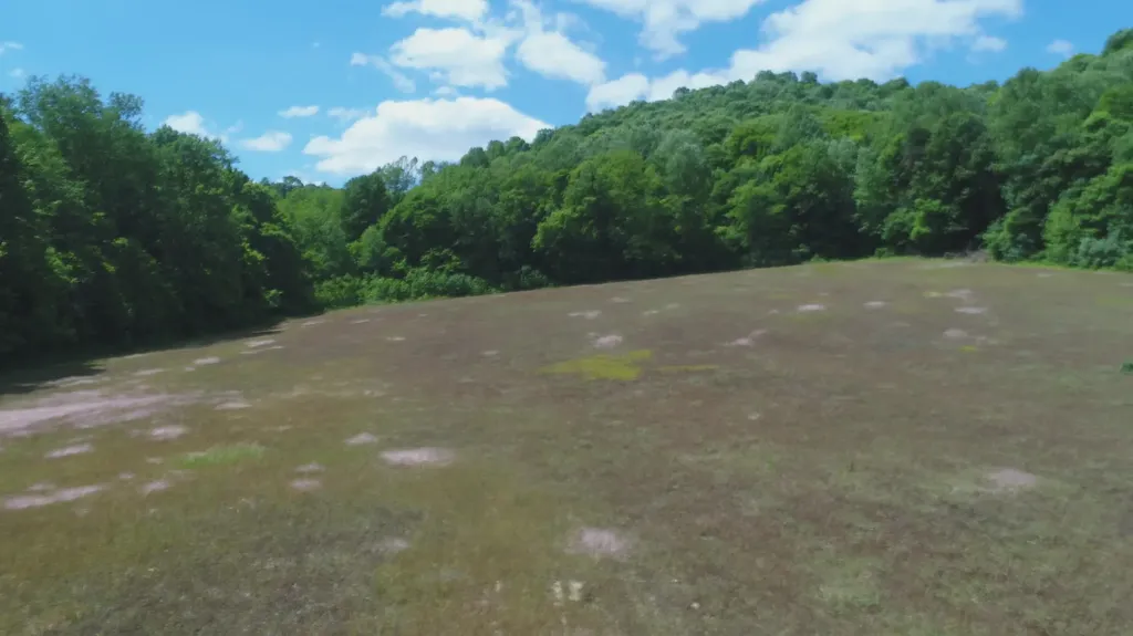 4570 Pointer Creek Road Nancy KY 42544