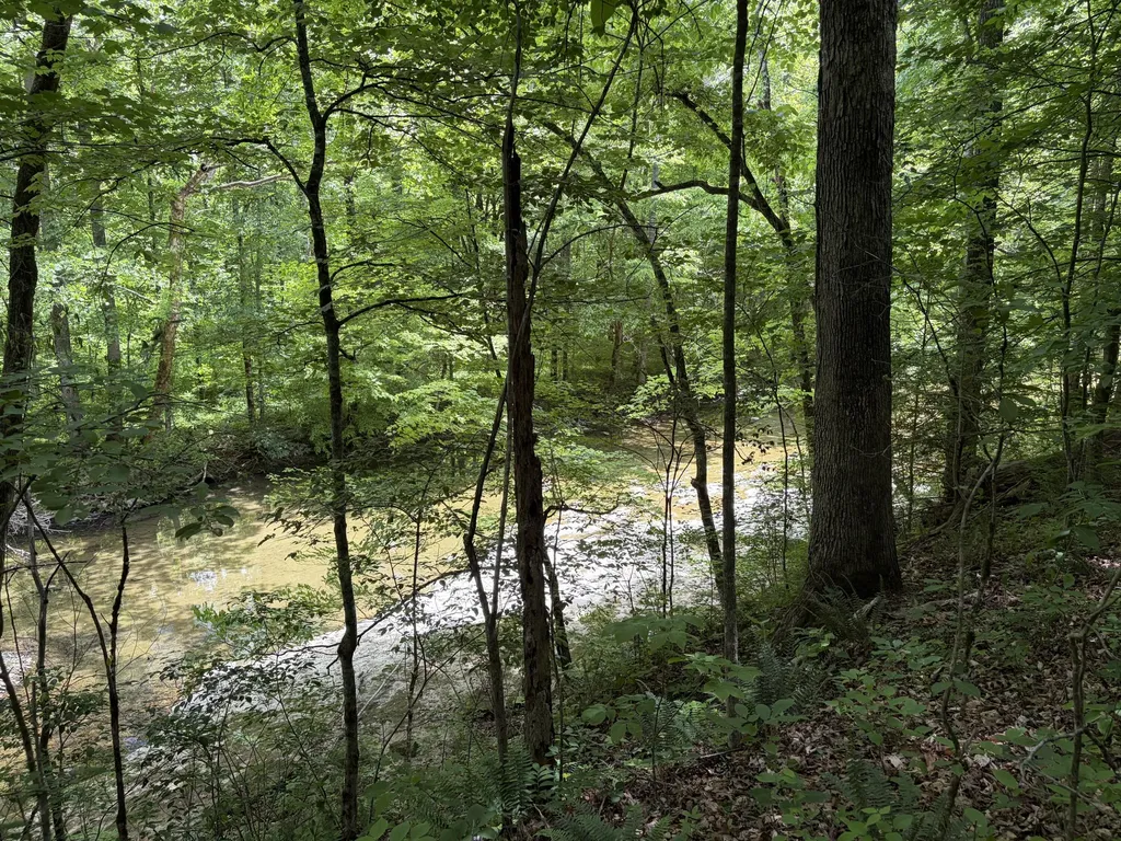 4570 Pointer Creek Road Nancy KY 42544