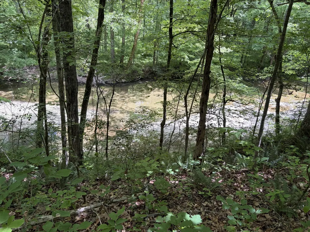 4570 Pointer Creek Road Nancy KY 42544