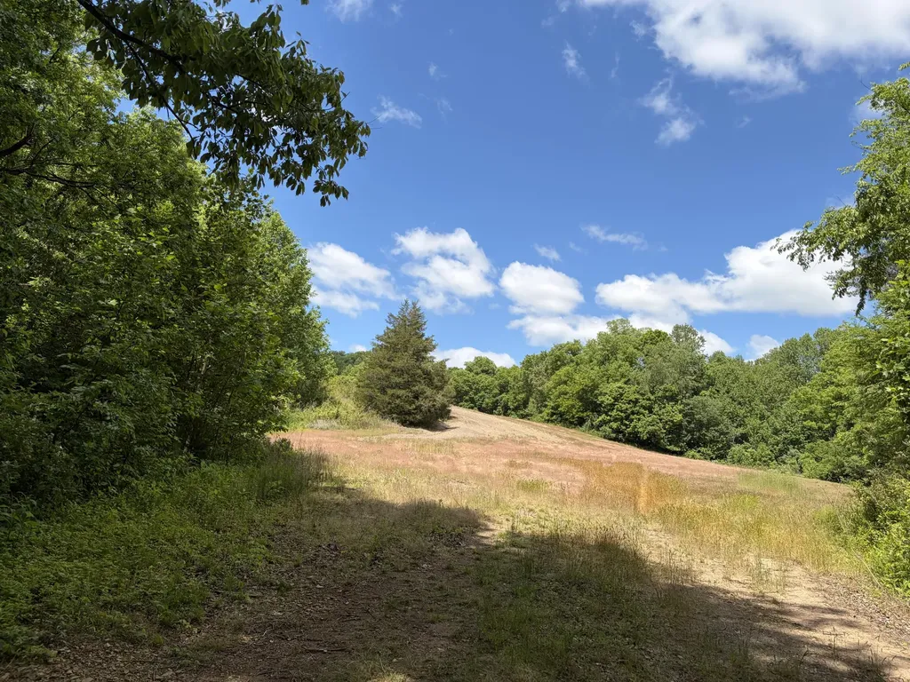 4570 Pointer Creek Road Nancy KY 42544