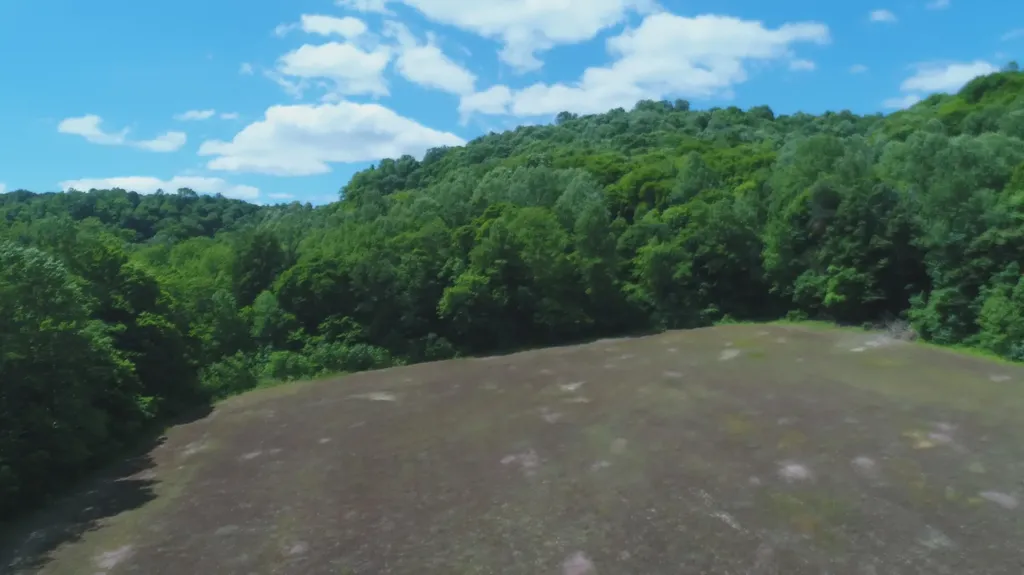 4570 Pointer Creek Road Nancy KY 42544