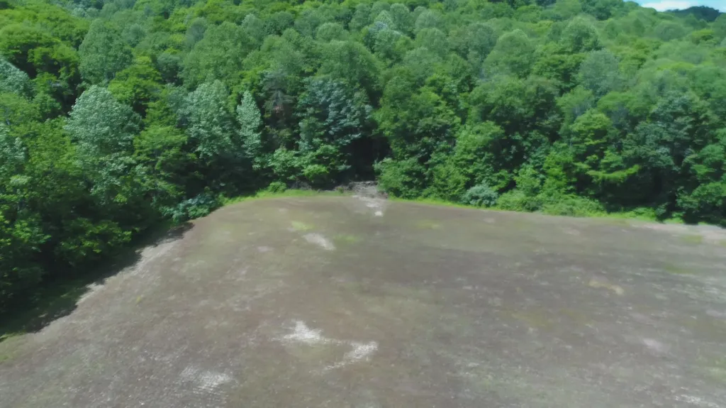 4570 Pointer Creek Road Nancy KY 42544