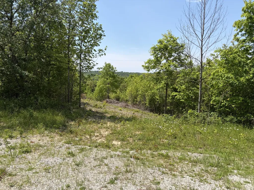 0000 Sandhill Road Whitley City KY 42653