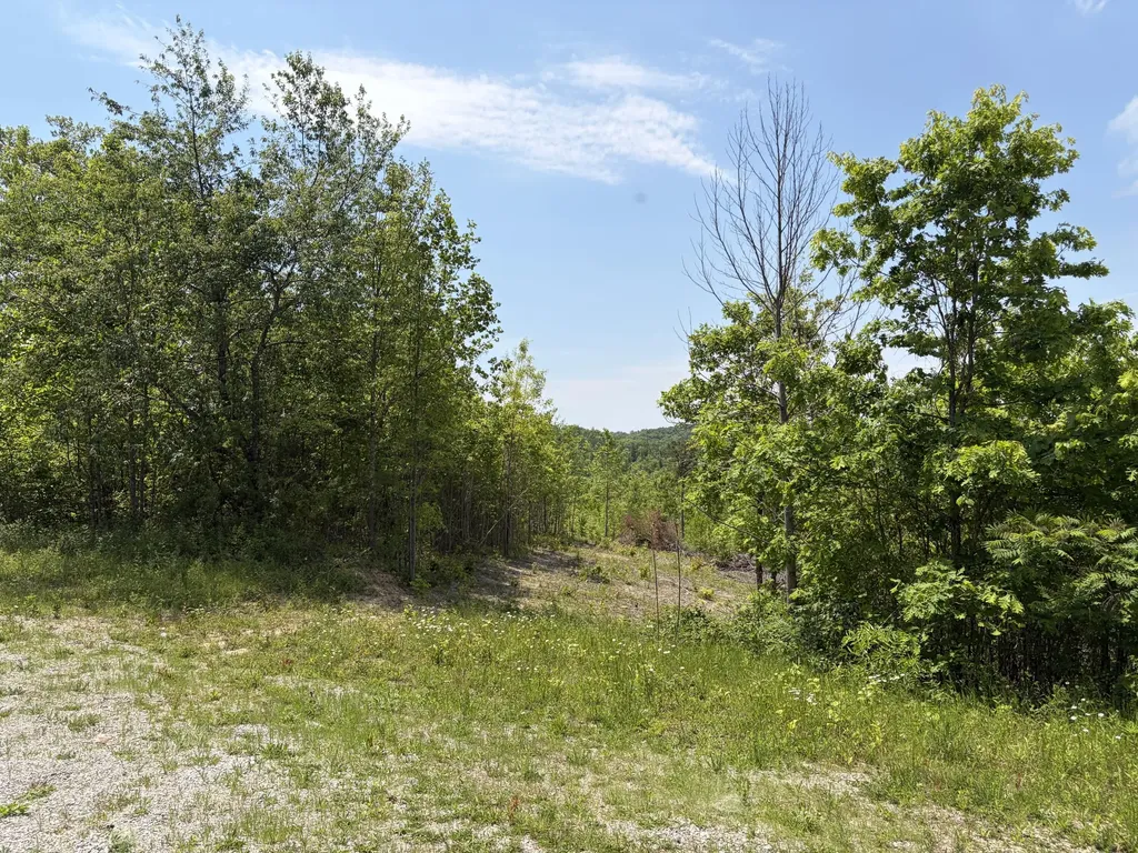 0000 Sandhill Road Whitley City KY 42653