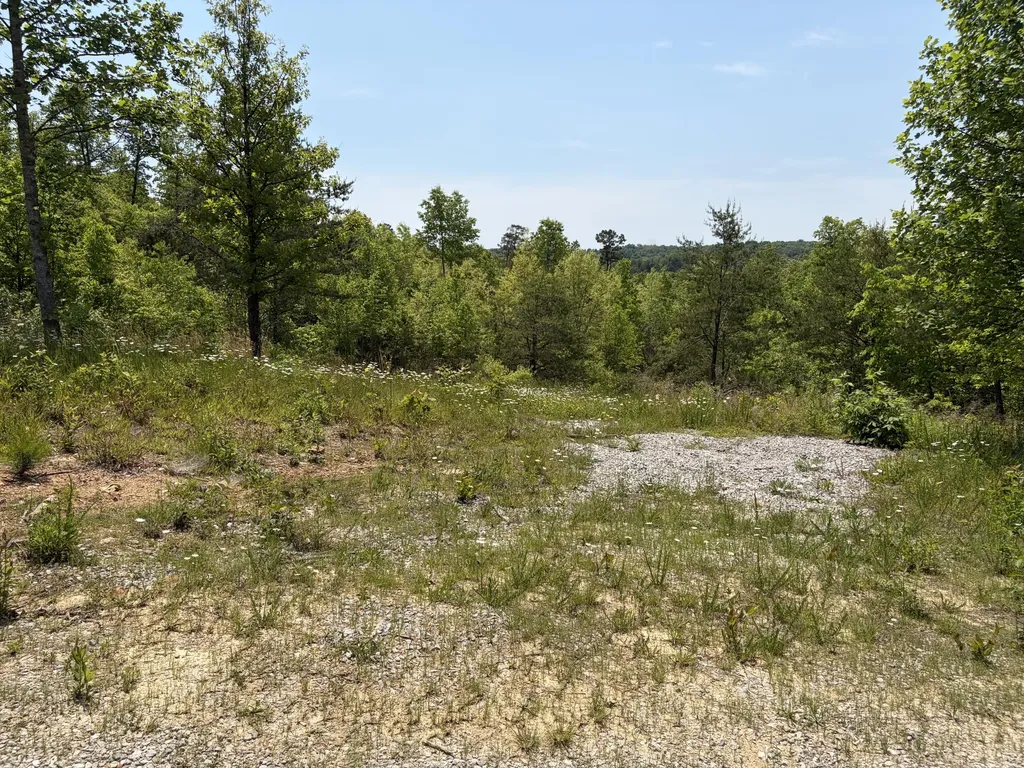 0000 Sandhill Road Whitley City KY 42653