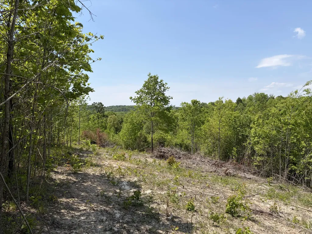 0000 Sandhill Road Whitley City KY 42653