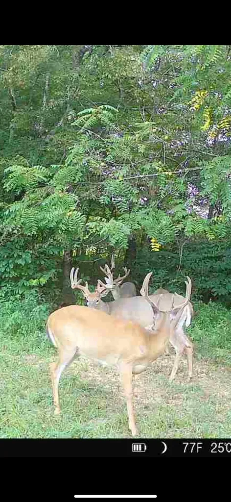 1510 Highway 865 Eubank KY 42567