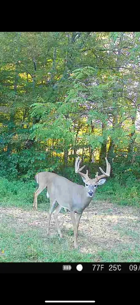 1510 Highway 865 Eubank KY 42567