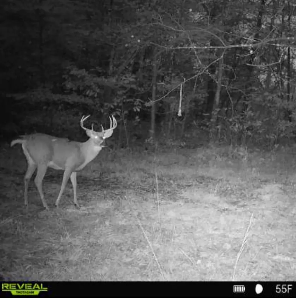 1510 Highway 865 Eubank KY 42567