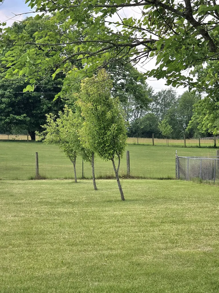 179 Bright Leaf Drive Lancaster KY 40444