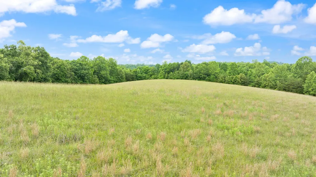 23.5AC Beech Grove Road Nancy KY 42544