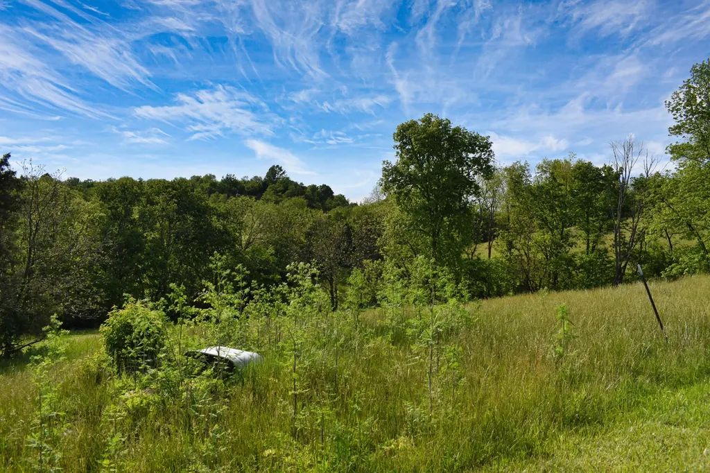 287 Logan Lick Road Winchester KY 40391