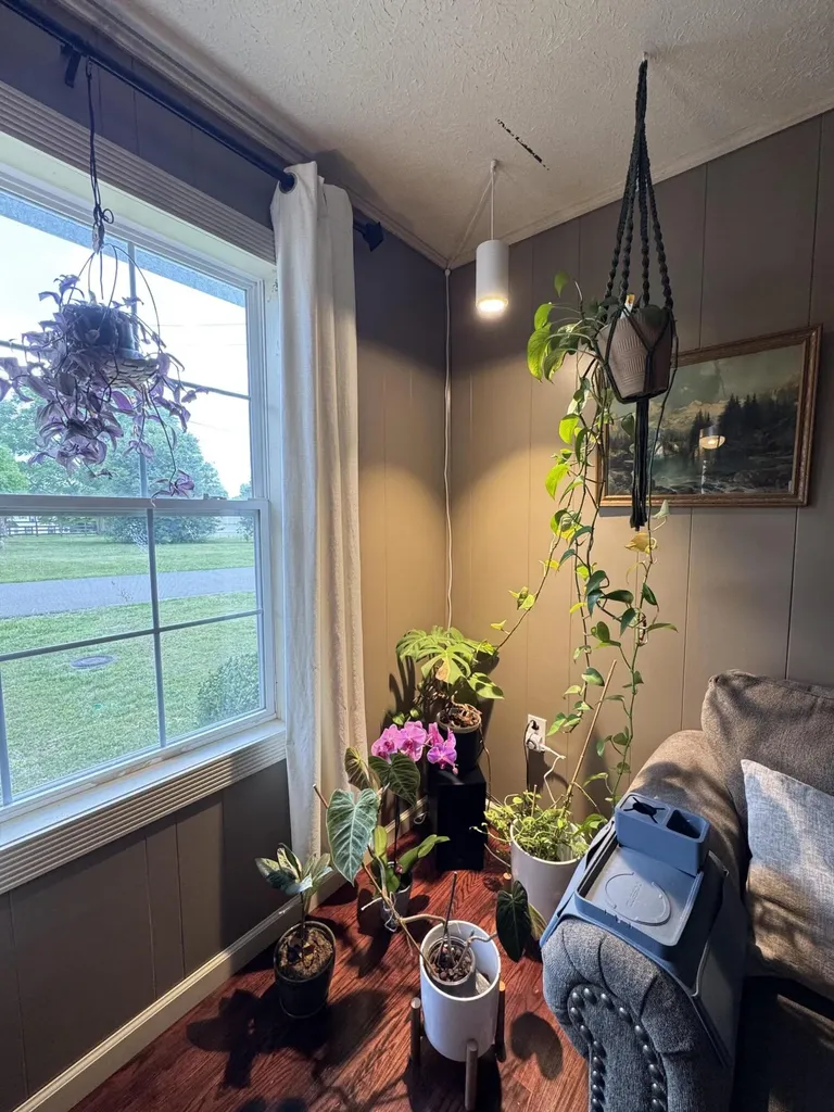 183 Vine Street Monticello KY 42633