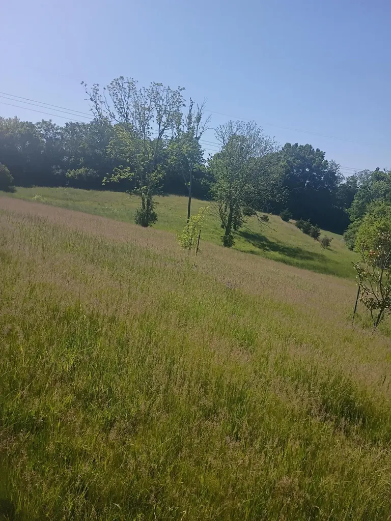 142 Plantation Drive Richmond KY 40475