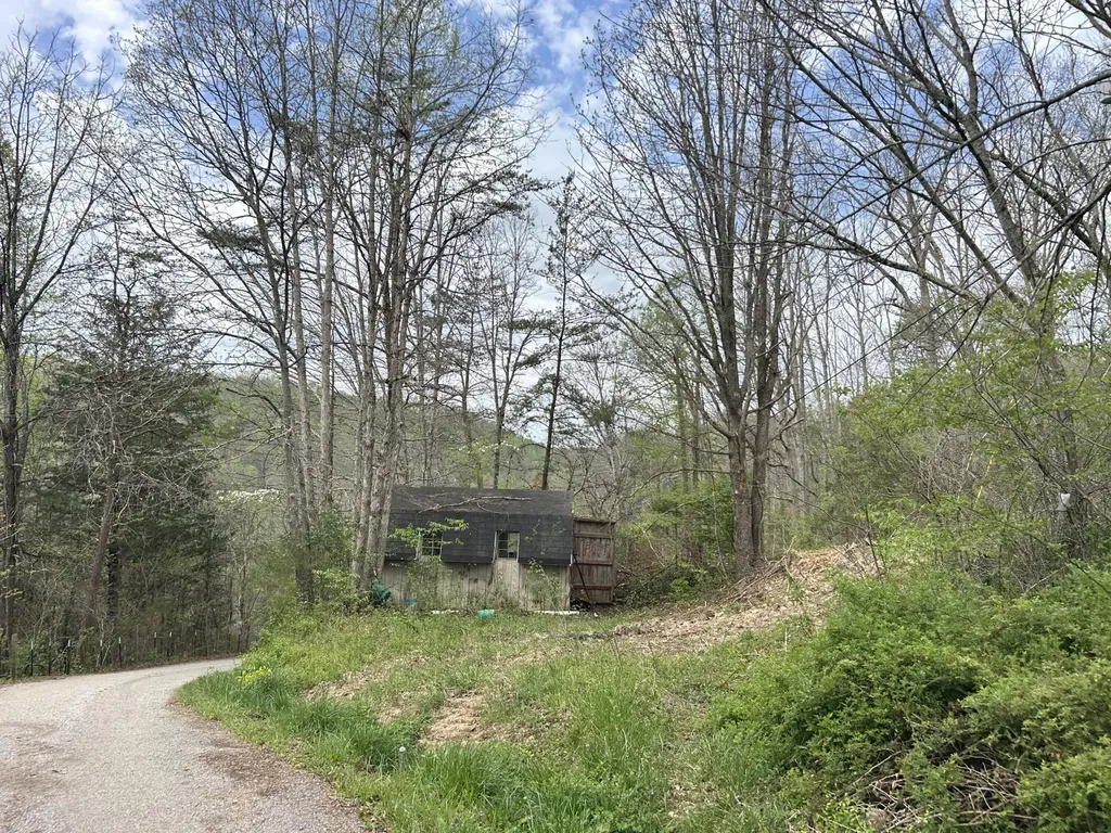 134 Red Bone Lane Orlando KY 40460