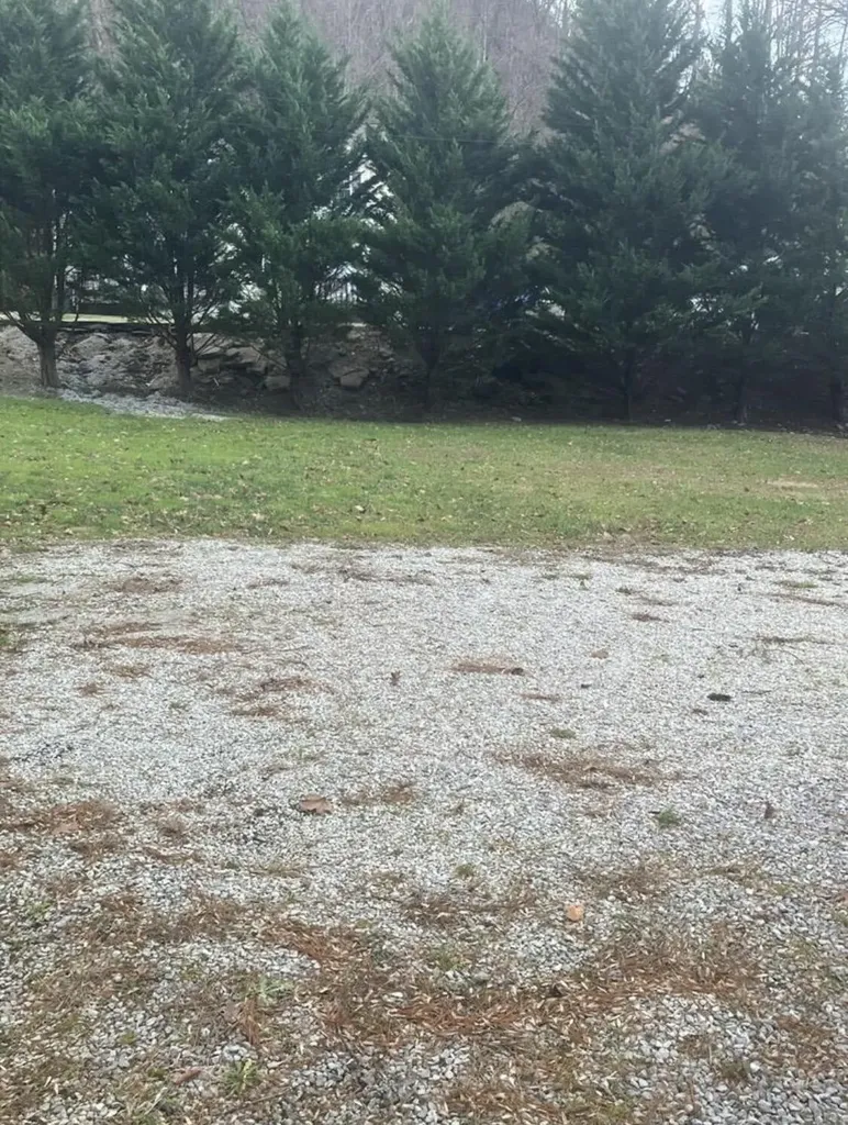 41 Woodland Paintsville KY 41240