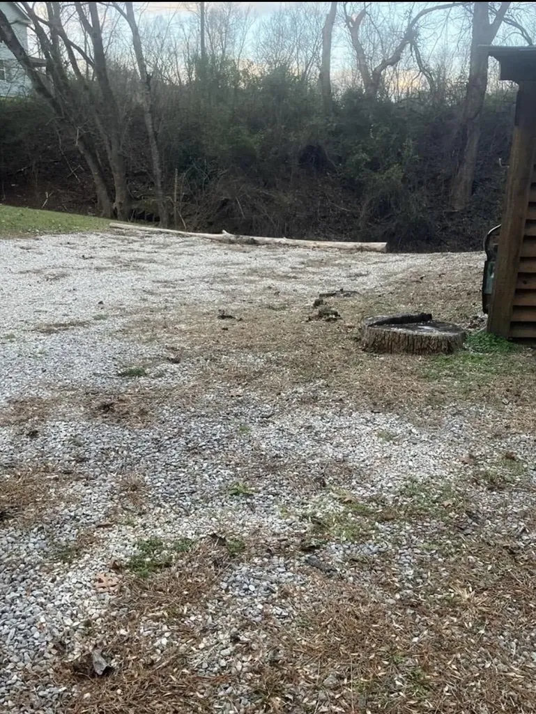 41 Woodland Paintsville KY 41240