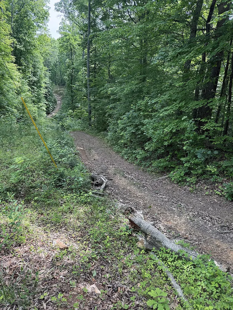 Lots 28-33 Twin Oak Road Nancy KY 42544