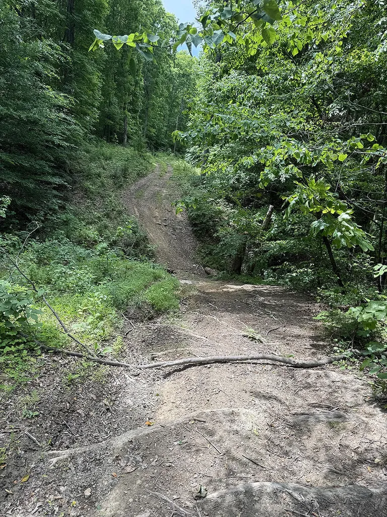 Lots 28-33 Twin Oak Road Nancy KY 42544