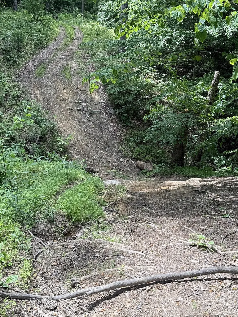 Lots 28-33 Twin Oak Road Nancy KY 42544