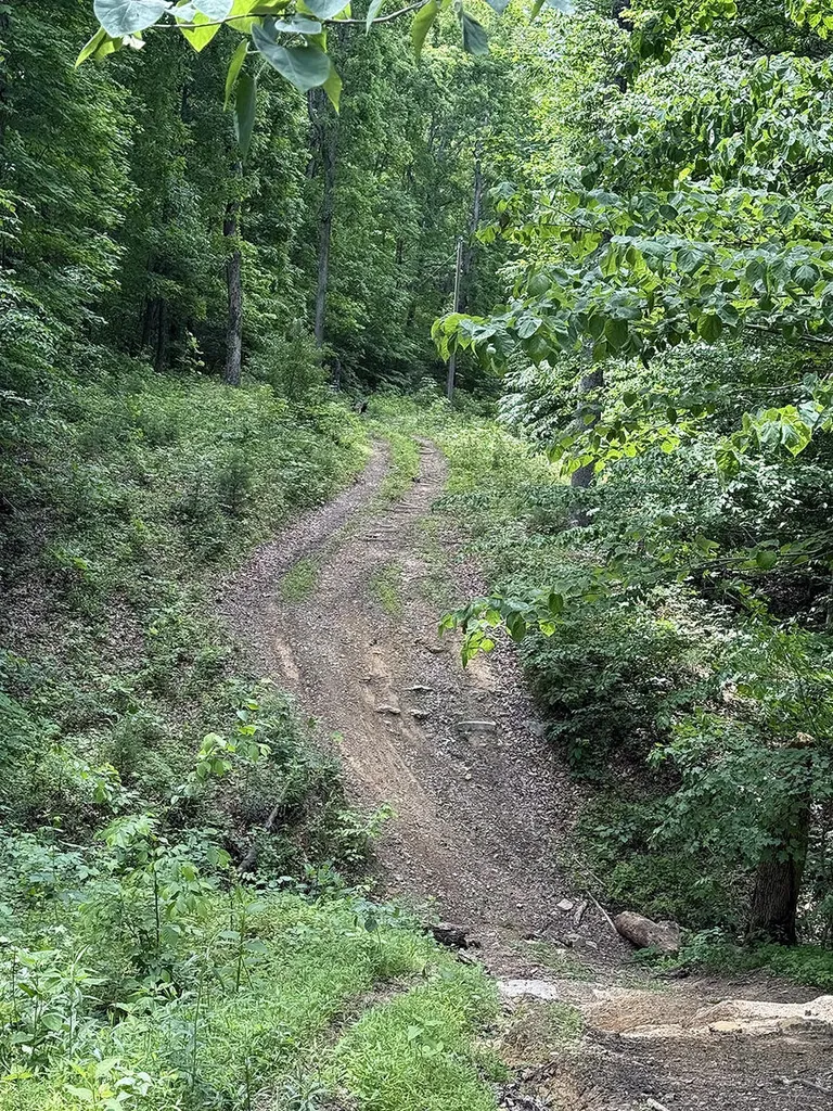 Lots 28-33 Twin Oak Road Nancy KY 42544
