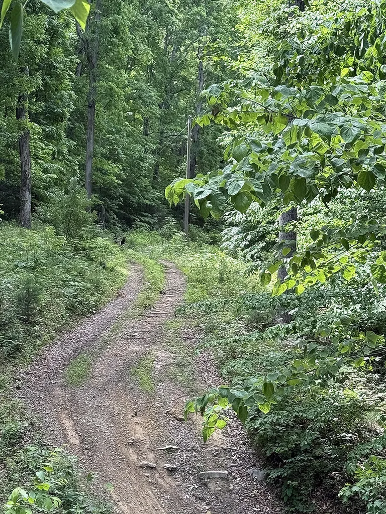 Lots 28-33 Twin Oak Road Nancy KY 42544
