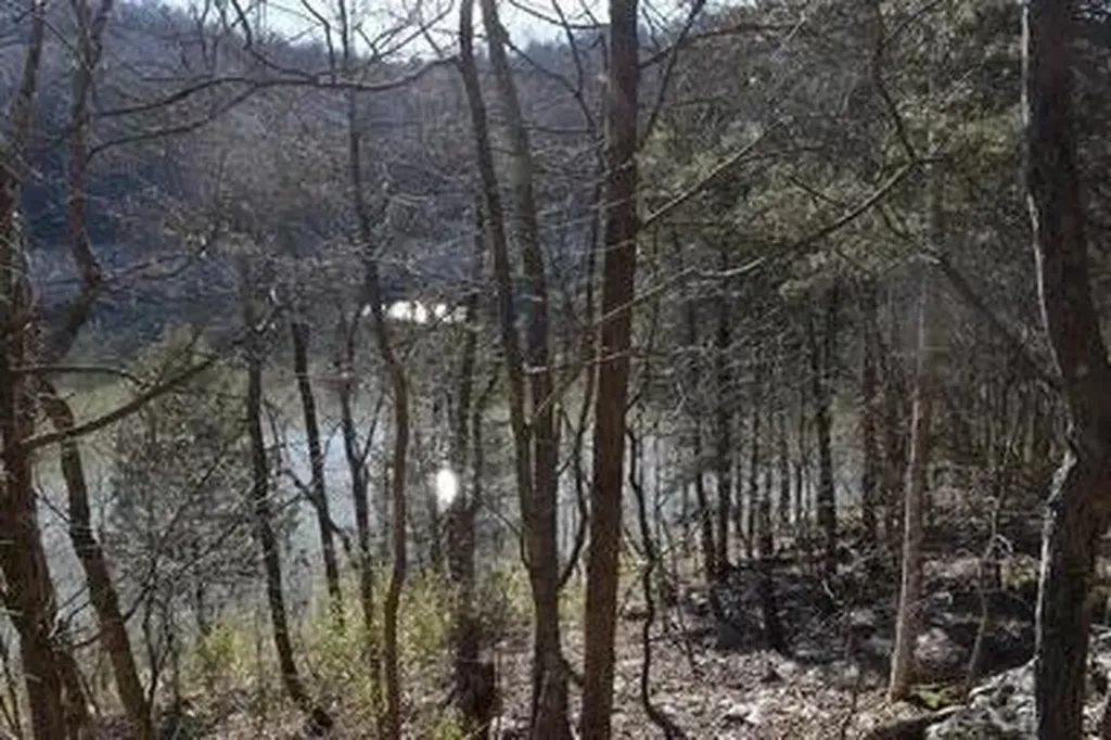 4100 Omega Park Road Somerset KY 42501