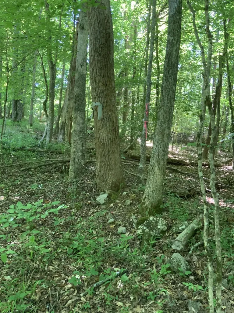 4100 Omega Park Road Somerset KY 42501