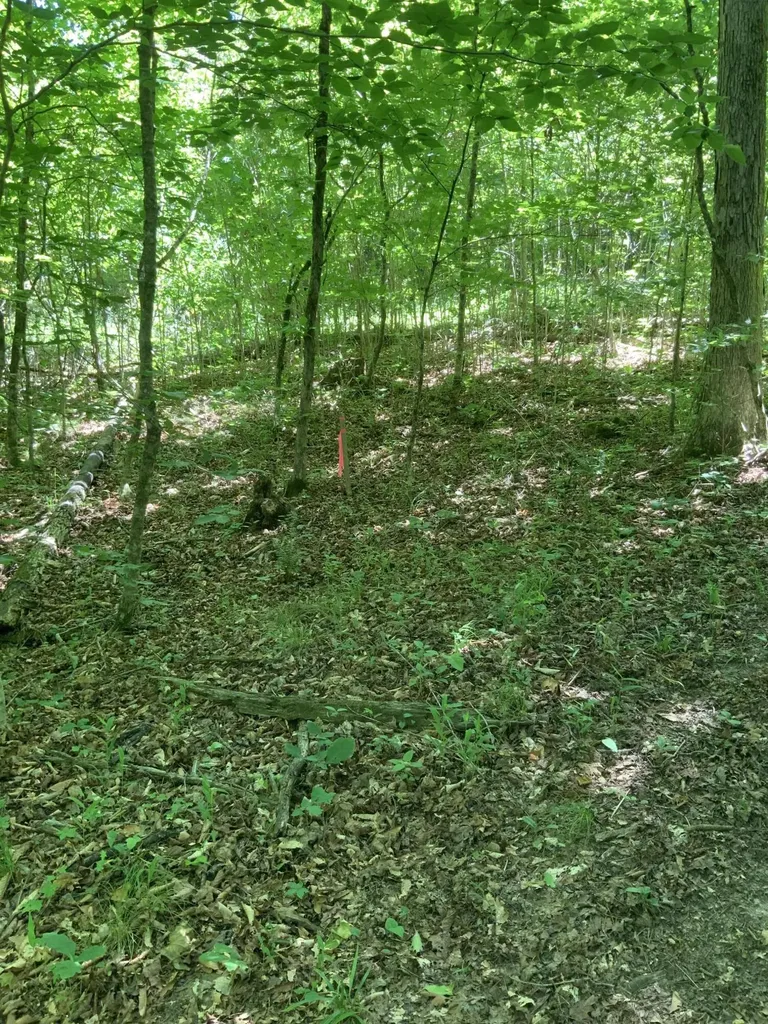 4100 Omega Park Road Somerset KY 42501