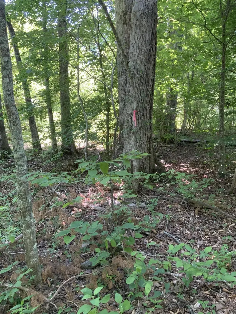 4100 Omega Park Road Somerset KY 42501
