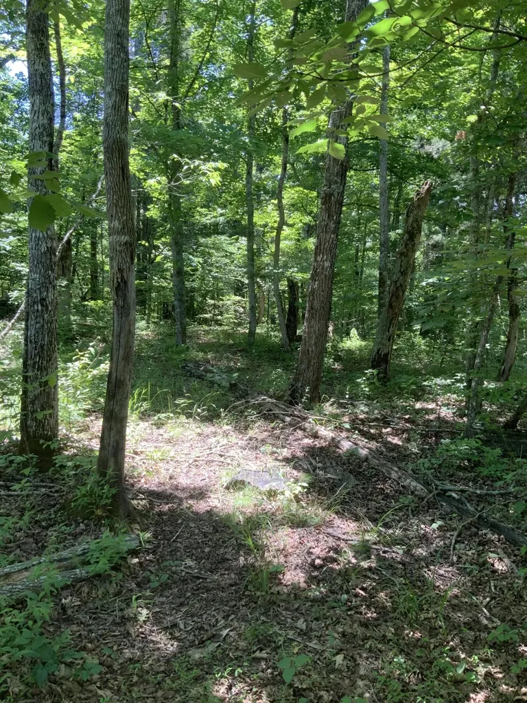 4100 Omega Park Road Somerset KY 42501